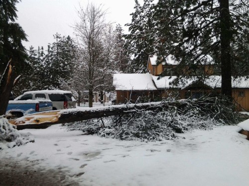 You can see the corner of the well house on the right.