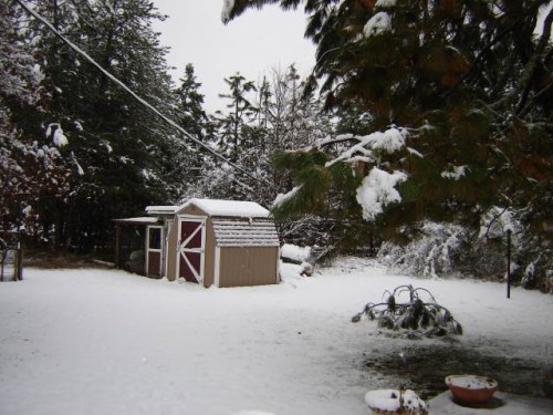 Electrical cord hangs six feet from the ground in back yard after hubby removed broken branch.